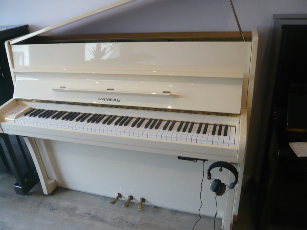 L’attribut alt de cette image est vide, son nom de fichier est Rameau-115-Ivoire-silent-1024x768.jpg.